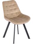Klubfotel Étkezőszék RICK bársony bevonattal, bézs