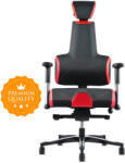 Therapia Ergonomikus, egészséges gamer szék E+Gamer