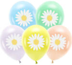 PartyDeco S. r. o Lufi, latex, ECO, margaréták 5 db/cs