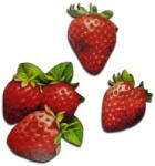  Nyomtatott dekorkarton - Eper szett 3db/csomag - festéshez és dekorációhoz