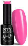 NTN Premium UV/LED Géllakk 52#