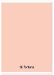 Fortuna Füzet vonalas FORTUNA Monocolor A/5 32 lapos 21-32 pasztell barack (01.02087) - robbitairodaszer