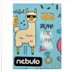 Nebulo Írószertartó NEBULO Girl Power (ITP-GRLPOWER) - robbitairodaszer