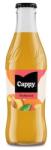 Cappy Gyümölcslé CAPPY Őszibarack 40% üveges 0, 25L DRS (117707)