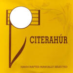 Arakoz Strings citerahúr 8