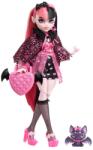 Monster High Papusa Monster High Draculaura cu animalut si accesorii, HHK51 Papusa