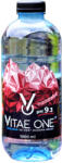 Vitae One Red pH 9.3 + Oxigén ásványvíz 1000 ml - vegyesbolt