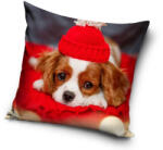 Kutyás Bonnet párnahuzat 40x40 cm - lord