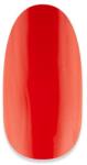 NiiZA Gel Polish 4ml - 115 - gellakk