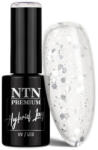 NTN Premium UV/LED Géllakk 36#