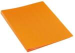 Tarifold Dosar Plastic Business Cu 40 Folii