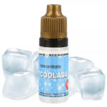 Inawera Концентрат за база Inawera с аромaт Coolada 10ml WS23