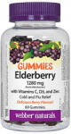 Webber Naturals Elderberry + Vitamins C, D3 and Zinc / 60 Gummies