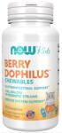 NOW BerryDophilus 60 ChewTabs