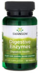 Swanson Digestive Enzymes / 90 Tabs