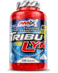 Amix Nutrition TribuLyn 40% / 750mg. / 220 Caps