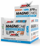 Amix Nutrition MagneChel / 20 x 7 g