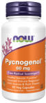 NOW Pycnogenol 60 mg / 50 Caps
