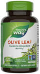 Nature's Way Olive Leaf 500 mg / 100 Caps
