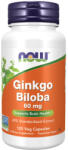 NOW Ginkgo Biloba 60 mg / 120 VCaps