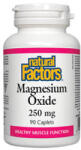 Natural Factors Magnesium Oxide 250mg. / 90 Caps