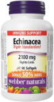 Webber Naturals Echinacea (Triple Standardized Extract) 2100 mg / 90 Softgels