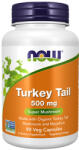 NOW Turkey Tail 500 mg / 90 Caps