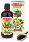 Cvetita Herbal Tribulus + Ginko