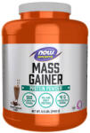 NOW Mass Gainer Powder