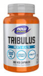 NOW Tribulus Terrestris 500 mg. / 100 Tabs