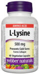 Webber Naturals L-Lysine 500 mg / 60 Caps