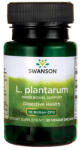 Swanson L. plantarum Inner Bowel Support 10 Billion CFU / 30 Vcaps