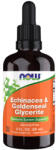 NOW Echinacea & Goldenseal Glycerite / 59 ml