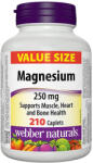 Webber Naturals Magnesium 250 mg / 210 Caps