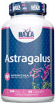 Haya Labs Astragalus 500mg. / 60 caps