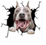 Original Deals Amstaff Bull Terrier kutya dekoratív matrica, otthonra vagy autóra, prémium öntapadó, 30 x 30 cm, eredeti ajánlatok (22AGL1106)
