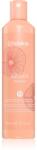 Echosline Argan Shampoo șampon pentru parul tratat chimic 300 ml
