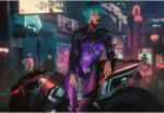  Plakát, Lady In Cyberpunk 2077, 61x90 cm, poszter 2363, többszínű (poster2363)