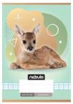 Nebulo Füzet, A5, kockás, 27-32, Állatos minták, Nebulo (DB55824)