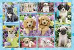 Schmidt Spiele - Puzzle Catelusi - 200 piese Puzzle