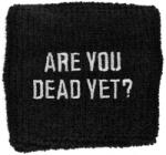 RAZAMATAZ Пот Children of Bodom - Are You Dead Yet - WB077 - RAZAMATAZ