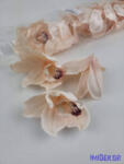  Cymbidium orchidea selyem fej D10 cm - Halvány Barack
