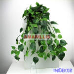  Futó 168 leveles bokor 80 cm - Szív levelű zöld