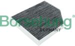 Borsehung Filtru, aer habitaclu Borsehung B12801 (B12801) - centralcar