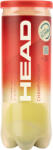 Head Mingi tenis Head Championship 3B (575203)