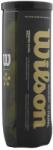 Wilson Mingi padel Wilson Premier Padel Speed Balls 3B (WR8908501001)