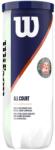 Wilson Mingi tenis Wilson Roland Garros All Court 3B (WRT126400)