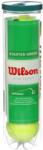 Wilson Mingi de tenis copii Wilson Starter Play Green 4B (WRT137400)