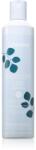 Echosline Frequent Shampoo шампоан за ежедневно миене на коса 300ml