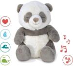 Cloud b Peaceful Panda